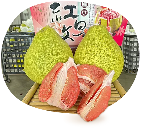 季節限定